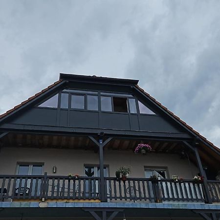 Les Cigognes De Andolsheim Daire Dış mekan fotoğraf